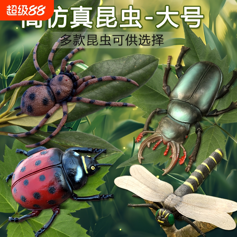 蜘蛛昆虫玩具蚂蚁蜜蜂甲虫蚂蚱蜢