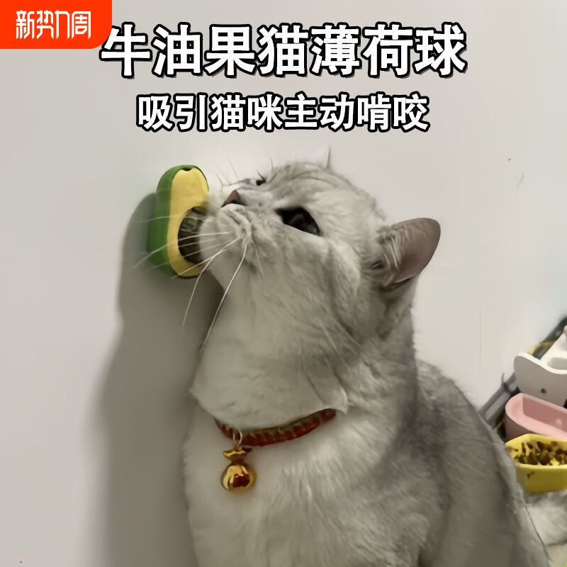 猫薄荷自嗨解闷套装玲珑球木天蓼磨牙棒猫玩具牛油果三效合一鱼骨