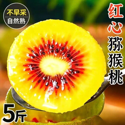 【平晏果园】四川当季红心猕猴桃奇异果大果当季新鲜水果泥猴桃整