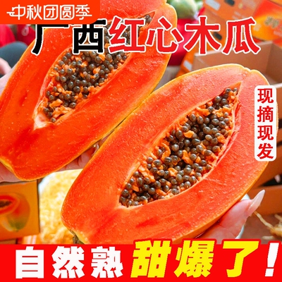 [补贴福利]正宗广西红心木瓜新鲜应季孕妇牛奶水果木瓜树上熟爆甜