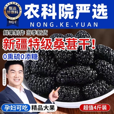 新疆桑葚干黑桑椹特级正宗干果新货泡水优质泡酒专用优质免洗桑椹