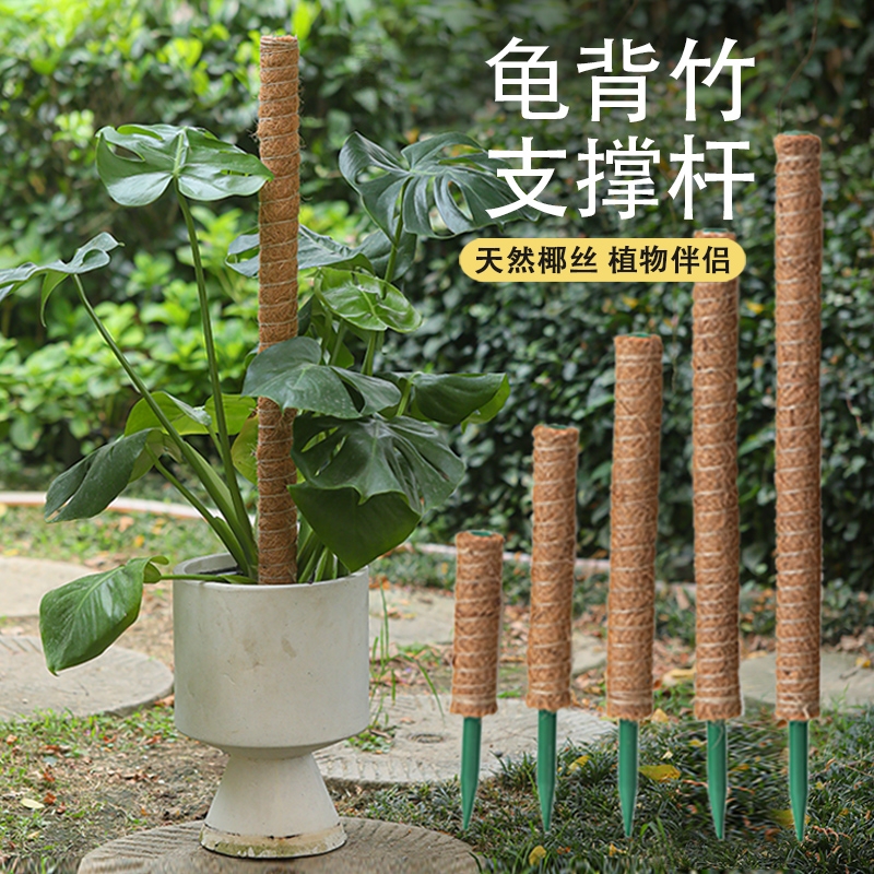 龟背竹支撑杆植物攀爬棕榈柱椰丝棒绿萝爬藤支架固定椰棕棒花架