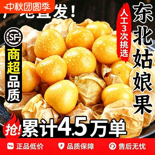 东北姑娘果5斤菇娘灯笼果新鲜当季现摘水果整箱特产小金豆甜大果
