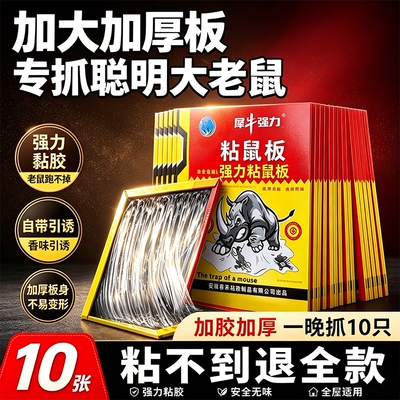 老鼠贴强力粘鼠板灭沾抓大老鼠胶超强家用扑捉器笼子捕鼠器防鼠