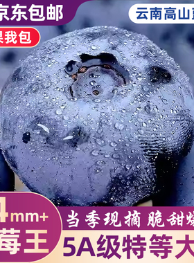 云南高山花香蓝莓头茬鲜果L25特大果怡佳颗沃应当季水果整箱包邮