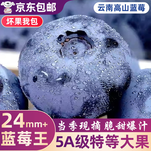 云南高山花香蓝莓头茬鲜果L25特大果怡佳颗沃应当季水果整箱包邮