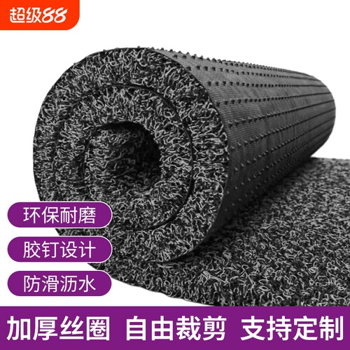 加厚丝圈地垫入户门垫