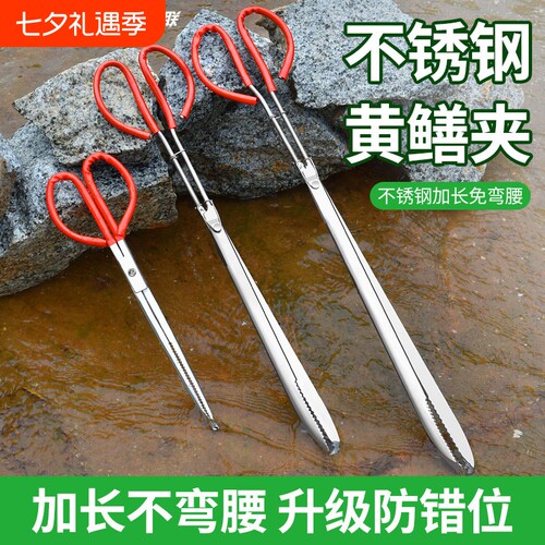 专业赶海装备黄鳝夹神器