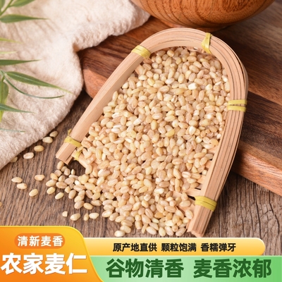 麦仁去皮脱壳带胚芽煮粥颗粒饱满低脂粗粮软糯爽滑五谷杂粮