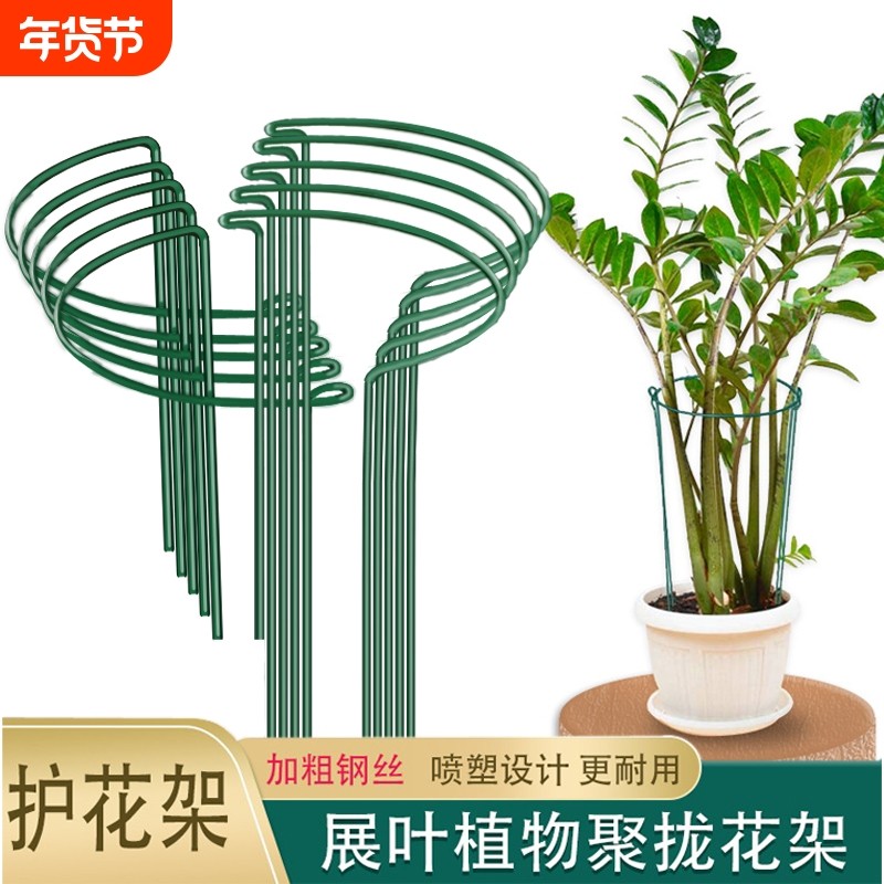 花支撑架金钱树植物花支架花架支撑杆花卉龟背竹防倒伏虎皮兰护花,鲜花速递/花卉仿真/绿植园艺,花架,淘宝优惠券,粉丝福利购,淘宝优惠卷