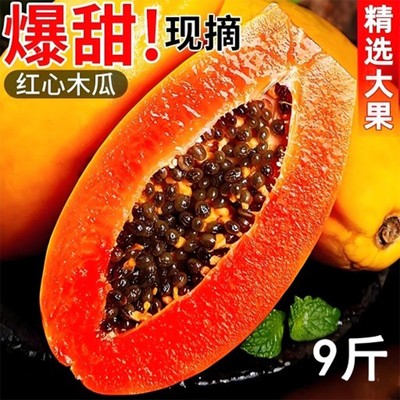 木瓜新鲜下奶水果红心牛奶整箱当季应季包邮冰糖青树上自然长
