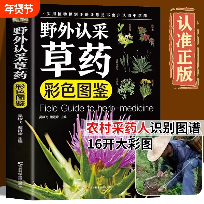 常用中草药识别应用图谱 正版高清真实药物图片 中草药彩图大全书  中草药野外识别书籍 农村采药人入门实拍中草药识别书 药学专业