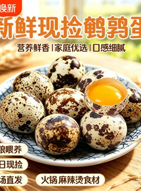 农家杂粮喂养新鲜生鹌鹑蛋多种吃法口感细腻整箱发货批发包邮农场