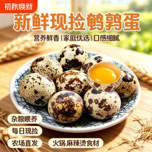农家杂粮喂养新鲜生鹌鹑蛋多种吃法口感细腻整箱发货批发包邮农场