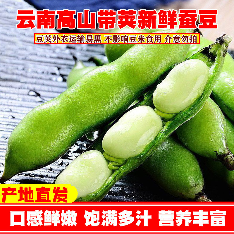 新鲜蚕豆云南高山农家带壳生本地罗汉兰花胡豆青豆荚蔬菜新货整箱,水产肉类/新鲜蔬果/熟食,新鲜豆类,淘宝优惠券,粉丝福利购,淘宝优惠卷