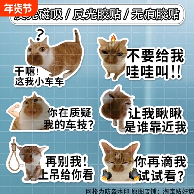 猫咪表情防水车贴|超3000次加购