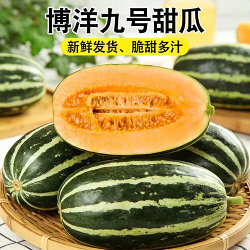 博洋9号甜瓜脆瓜香瓜羊角蜜瓜应季新鲜水果香甜多汁九号脆甜