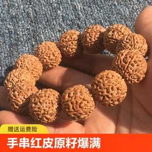大金刚菩提子手串黄红皮原籽爆满肉6六7七八瓣尼泊尔文玩佛珠手链