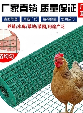 绿色浸塑电焊网小孔防鼠包塑铁丝网养鸡圈地养殖防锈硬塑围栏网格
