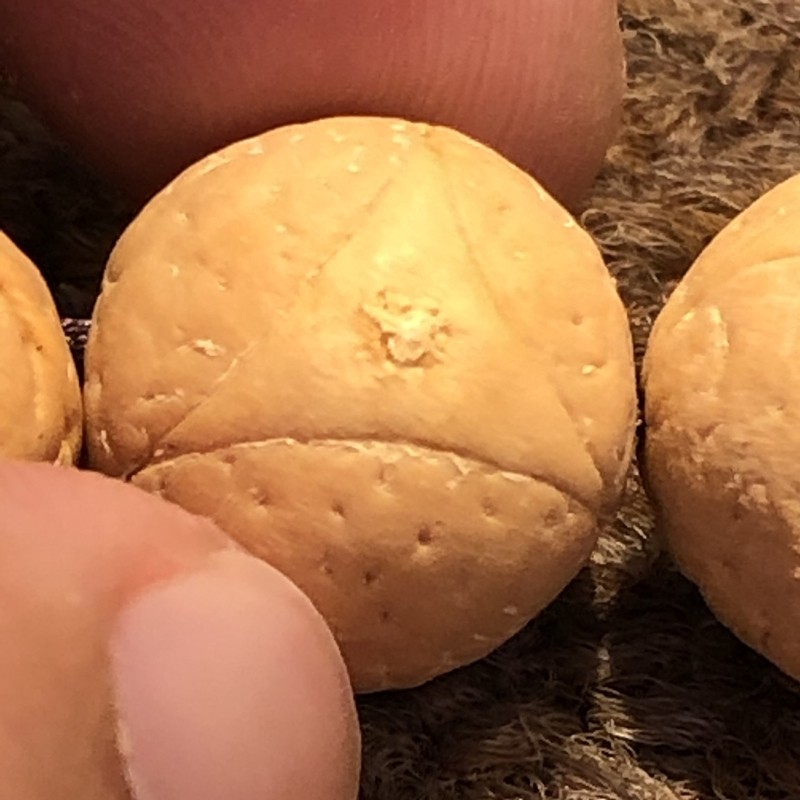 精选品龙眼菩提手链单圈姜黄皮手串文玩佛珠念珠原籽男士手持