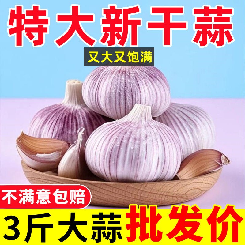 【大甩卖】山东紫皮大蒜头整箱新干蒜新鲜大蒜头特大果火锅料理
