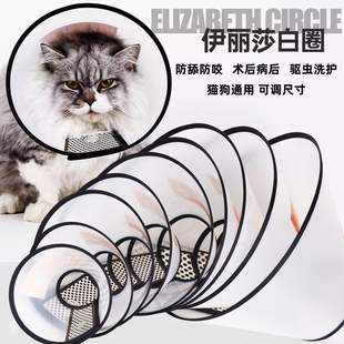 伊丽莎白圈猫咪狗狗术后项圈绝育围脖防舔防抓罩耻辱圈宠物狗脖套