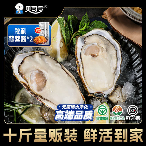 贝司令乳山生蚝10斤量贩装