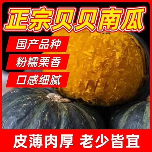 贝贝南瓜正宗板栗味新鲜小南瓜孕妇婴儿辅食老南瓜粉糯甜蔬果