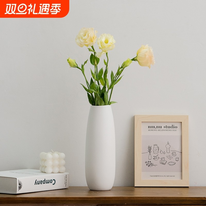 水培创意装饰干花花瓶餐桌客厅插花摆件白色花器白瓷电视柜桌面