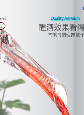 跨境家用鹰嘴快速醒酒器红酒创意倒酒器葡萄酒魔术分酒器套装