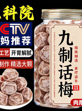 正宗话梅九制话梅皇干酸零食泡酒茶小零食青梅果干葡萄鲜果解馋