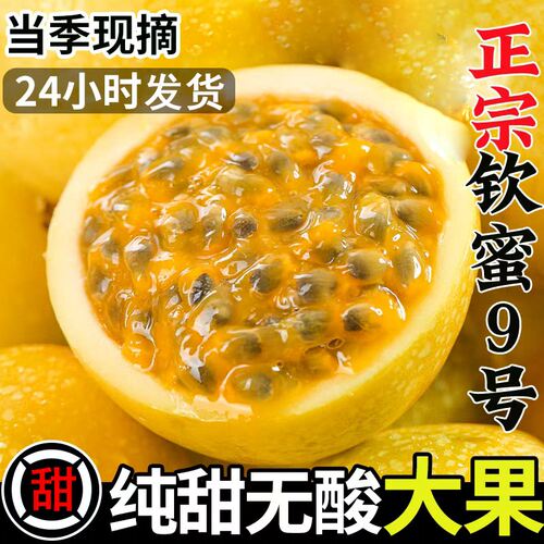 广西钦密9号黄金百香果