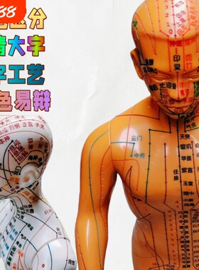 针灸穴位人体模型中医经络小铜人十二男女全身人软质12推拿按摩