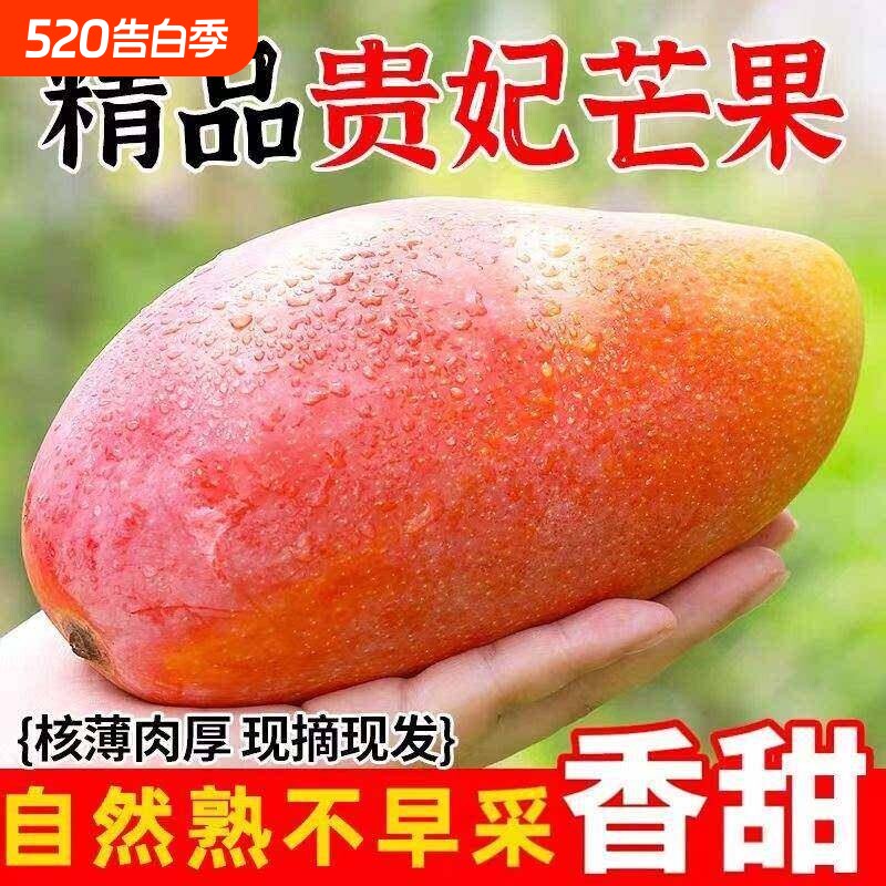 海南贵妃芒新鲜芒果9斤应当季水果树上熟红金玉青辣椒芒大果整箱