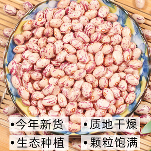 奶花豆农家特货产雀蛋豆四季豆豆米干货芸豆五谷杂粮豆类奶花芸