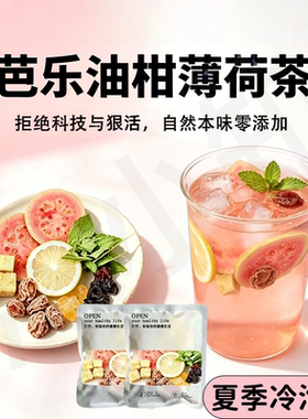 芭乐油柑薄荷茶柠檬冻干冷泡茶果茶速溶冷泡水果茶冲饮清凉茶话梅