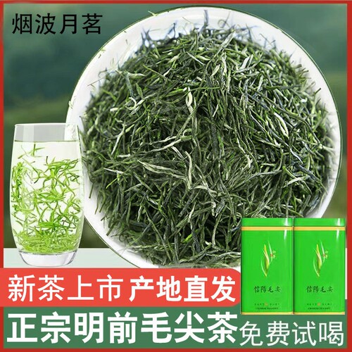 信阳毛尖2026新茶明前嫩芽高山茶