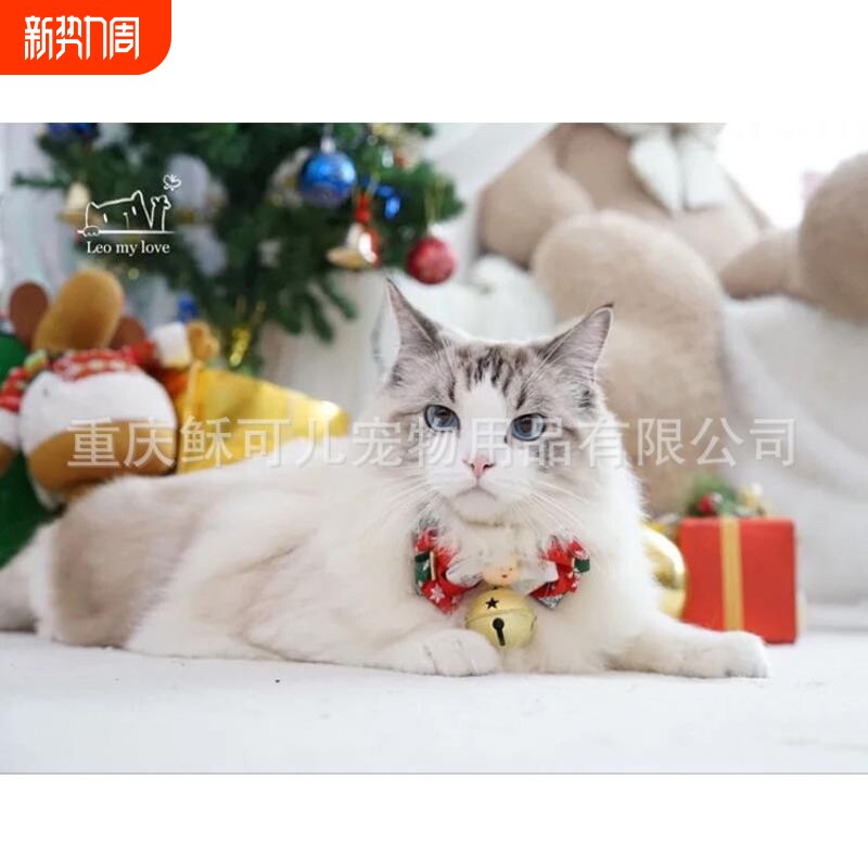 节日丝带领结宠物万圣节猫狗铃铛蝴蝶结项圈饰品圣诞节