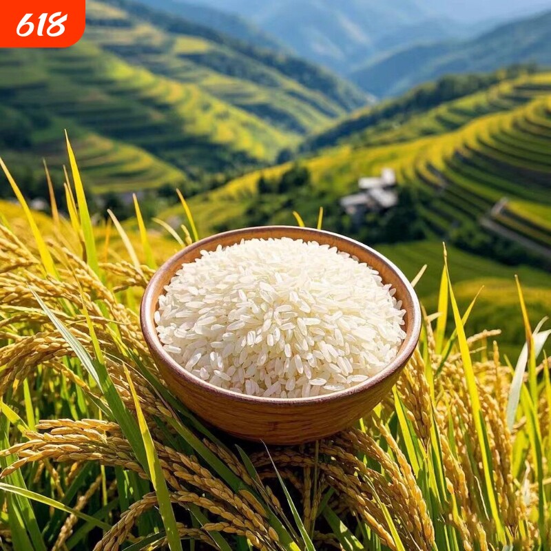 贵州长粒香大米梯田种植新米现磨农家优质米贵乡见精选当季散装