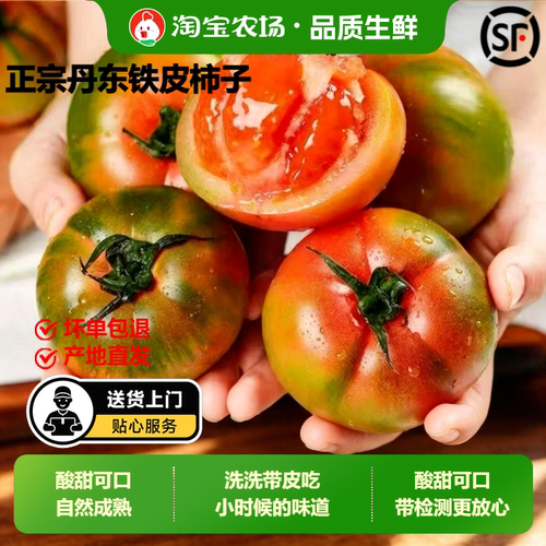顺丰正宗丹东草莓柿子5斤西红柿新鲜碱地铁皮柿子生吃水果番茄