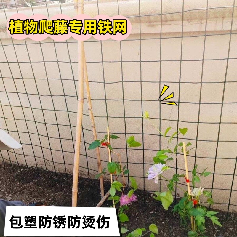 月季花墙专用爬藤丝网 庭院爬藤植物上墙铁网格 铁线莲绿色铁丝网