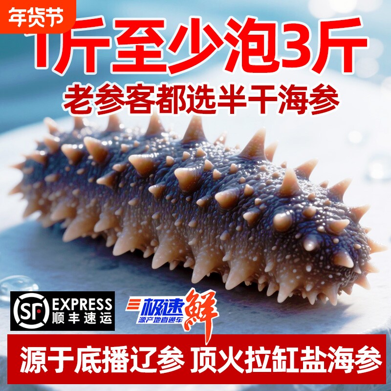大连优质辽刺参半干海参拉缸盐海参非即食高泡发高营养