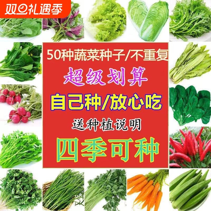 蔬菜种子四季盆栽阳台香菜生菜菠菜白菜易种籽孑草莓番茄菜心黄瓜