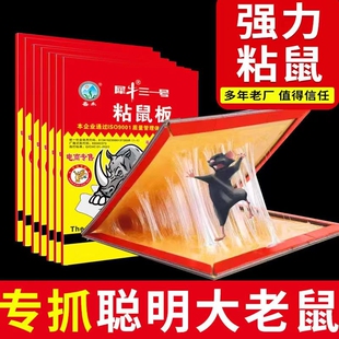 老鼠贴强力粘鼠板家用抓鼠神器捕鼠灭鼠鼠药耗子黑胶家里大号饭店