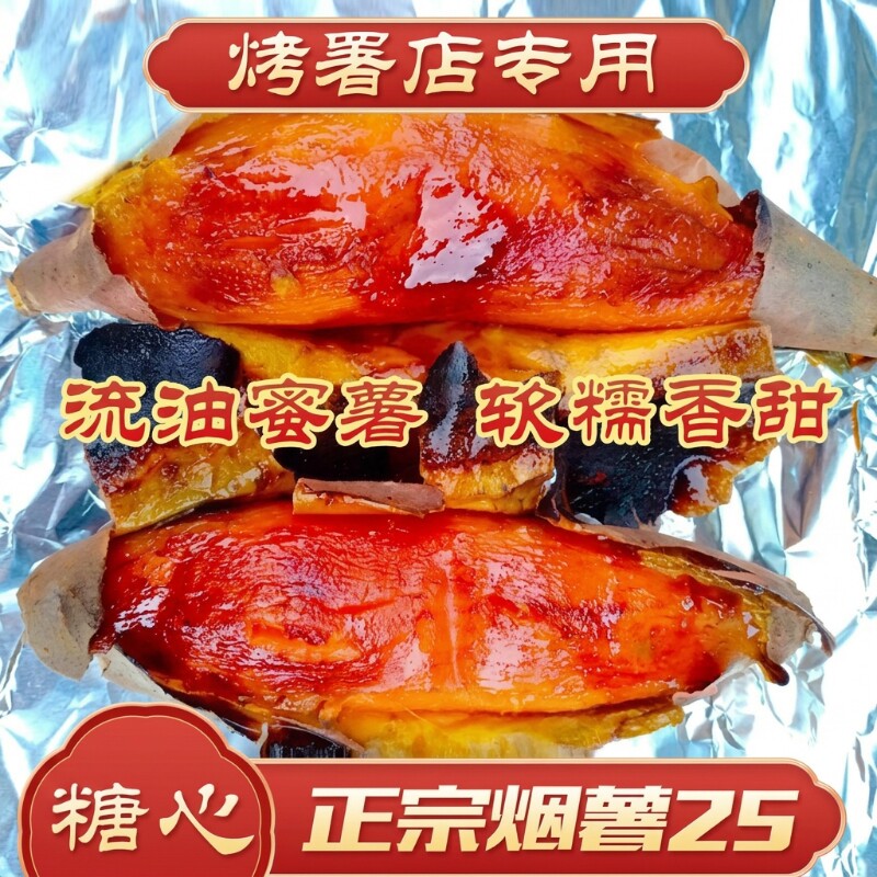 烟薯25山东烟台香糯营养好吃