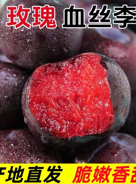 李子新鲜水果黑布林大李子