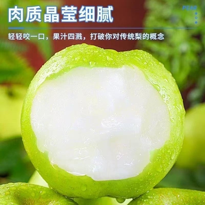 梨河北皇冠梨宏辉果蔬鲜甜多汁