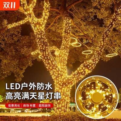 24V彩灯满天星led灯串户外庭院装饰亮化树灯景观灯绕树缠树灯防水