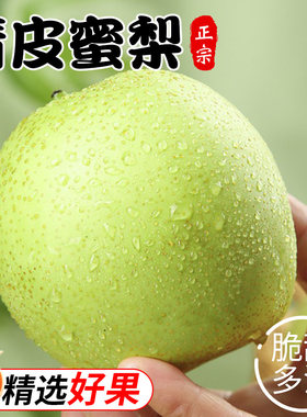 砀山酥梨蜜甜梨子苹果梨当季新鲜孕妇应季水果梨脆甜解渴包邮青皮