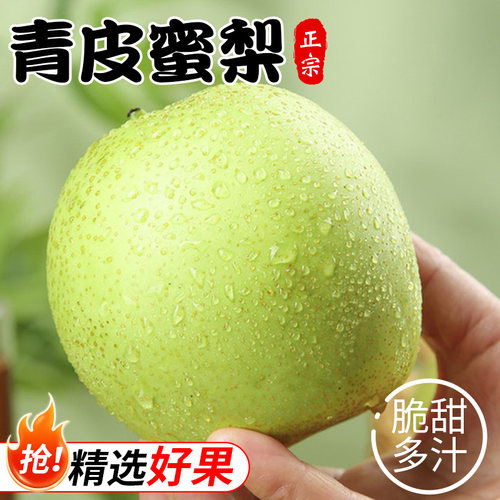 砀山酥梨蜜甜梨子苹果梨当季新鲜孕妇应季水果梨脆甜解渴包邮青皮